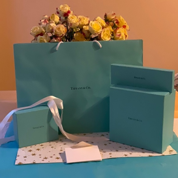 🎀 TIFFANY & CO. BAG & BOXES 🎀 - Picture 13 of 16